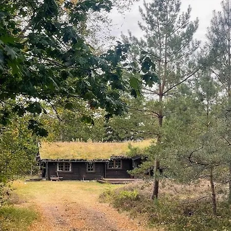 Дом отдыха Norwegian Log Among Heather And Pine Trees