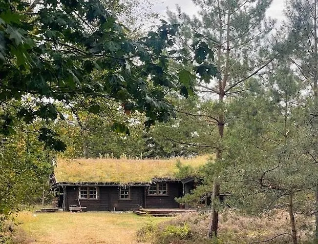 Дом отдыха Norwegian Log Among Heather And Pine Trees