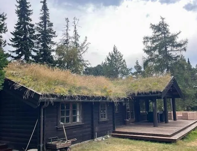 Norwegian Log Among Heather And Pine Trees *