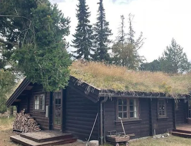 Norwegian Log Among Heather And Pine Trees Дом отдыха *